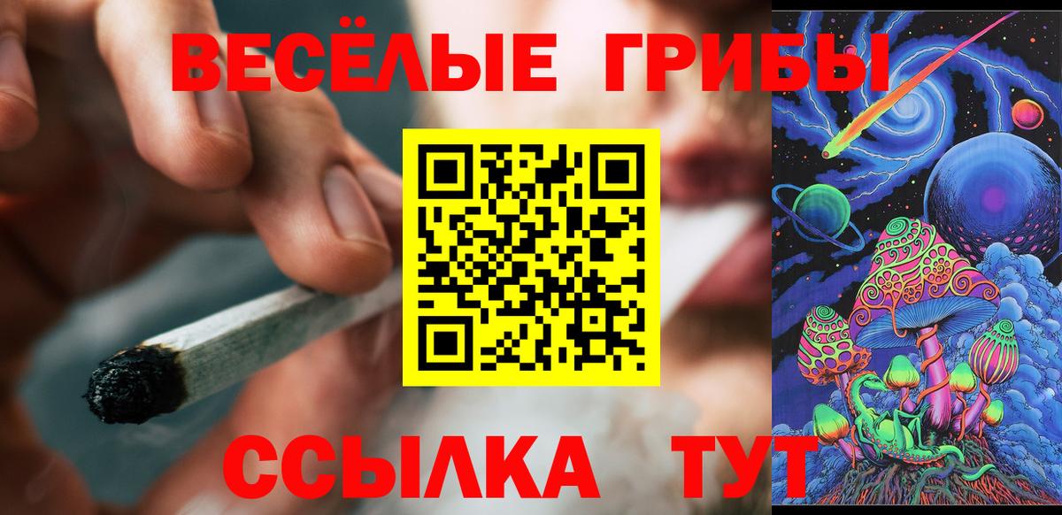 Галлюциногенные грибы Psilocybine cubensis Магнитогорск