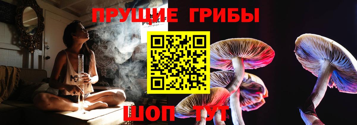 Магнитогорск  Галлюциногенные грибы MAGIC MUSHROOMS  Вход с VPN 